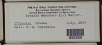 Image Associated With the Occurence